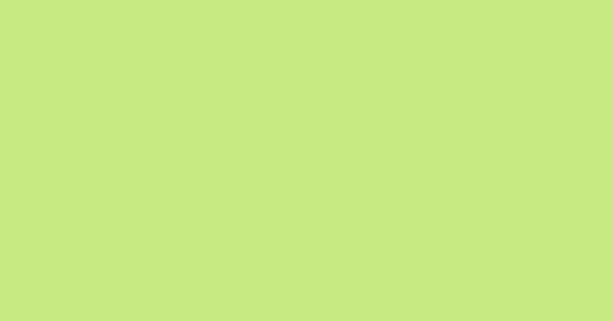 #c8ea84 yellow green color image