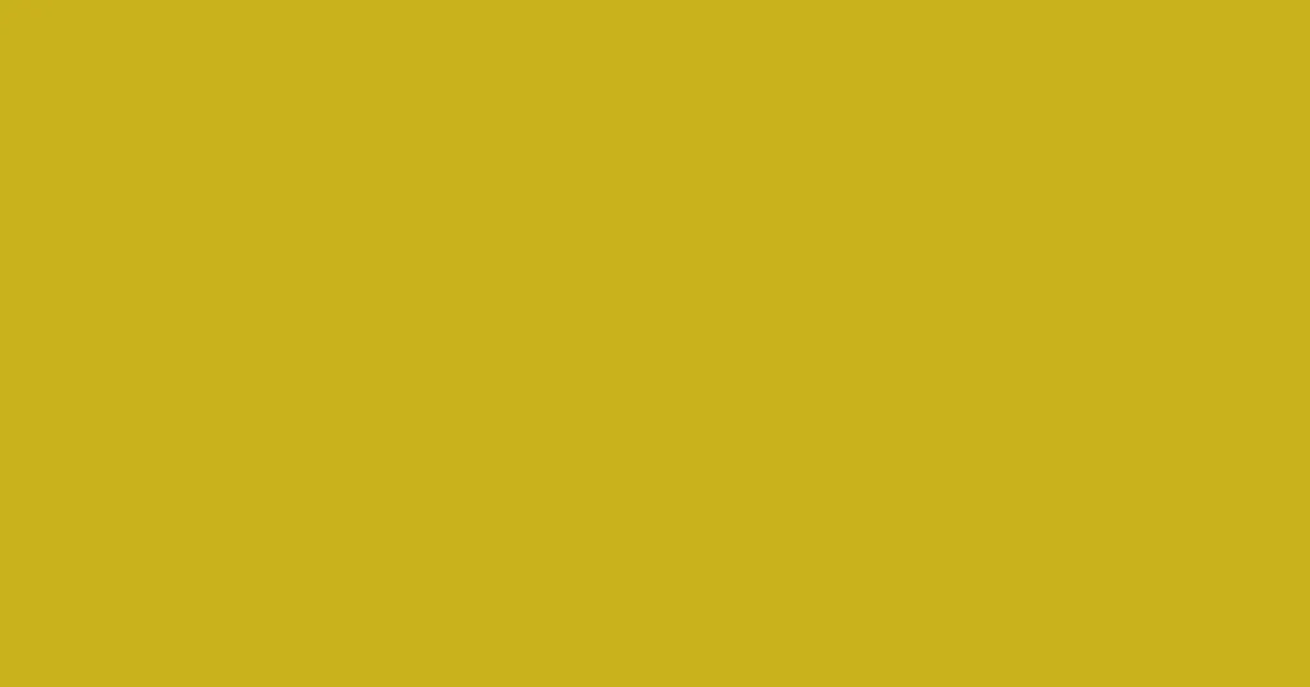 #c9b21d golden grass color image