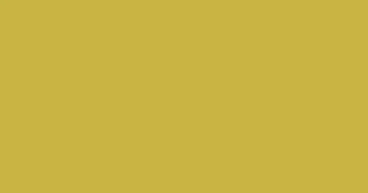 #c9b443 turmeric color image