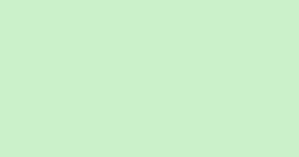 #c9f1c7 tea green color image
