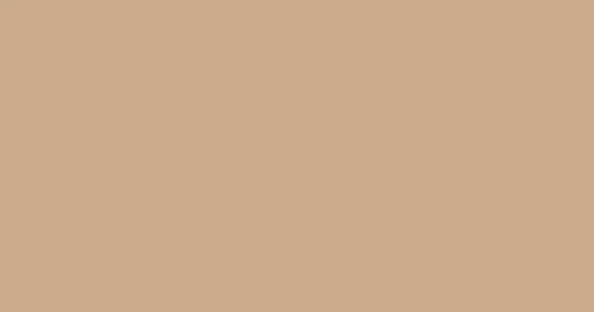 #caab8a sorrell brown color image