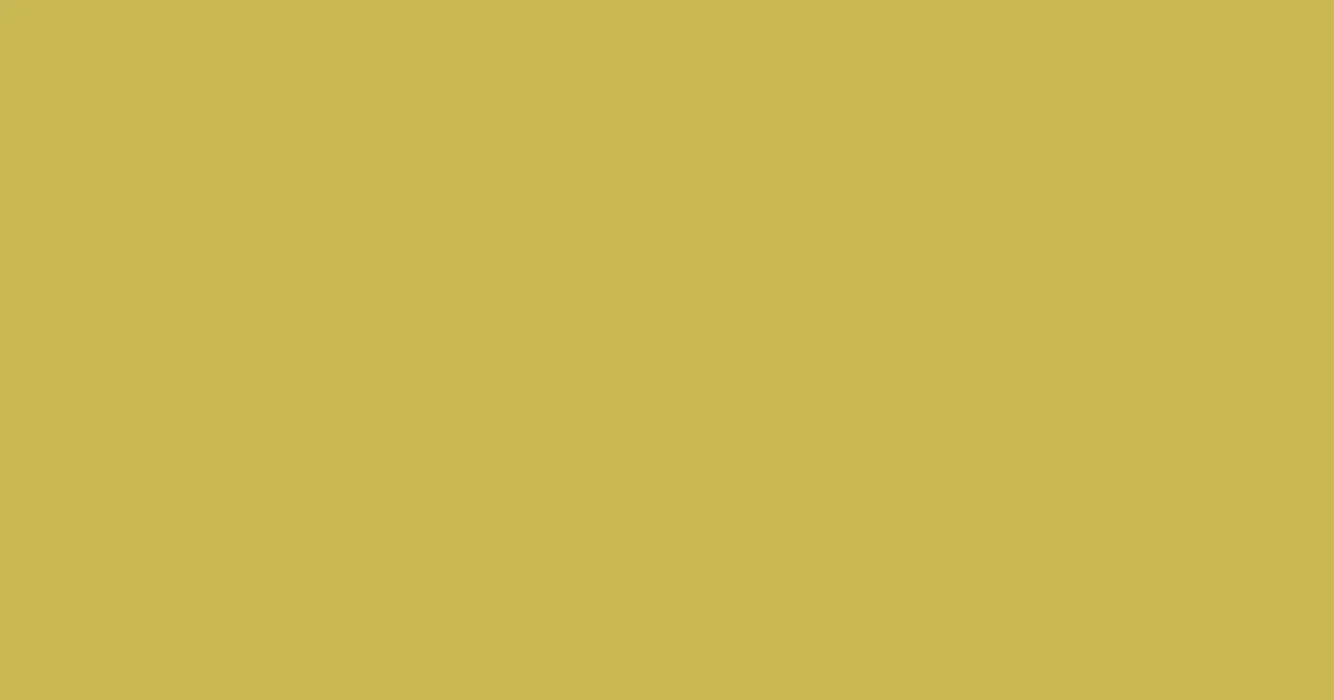 #cab853 sundance color image
