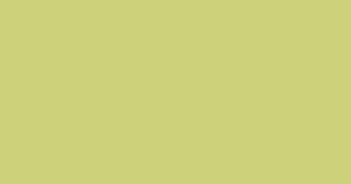 #cbd279 wild willow color image