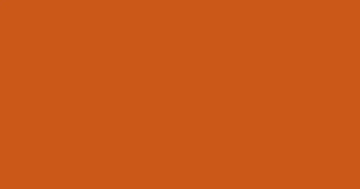 #cc5819 orange roughy color image