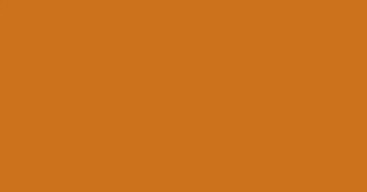 #cc711b hot cinnamon color image