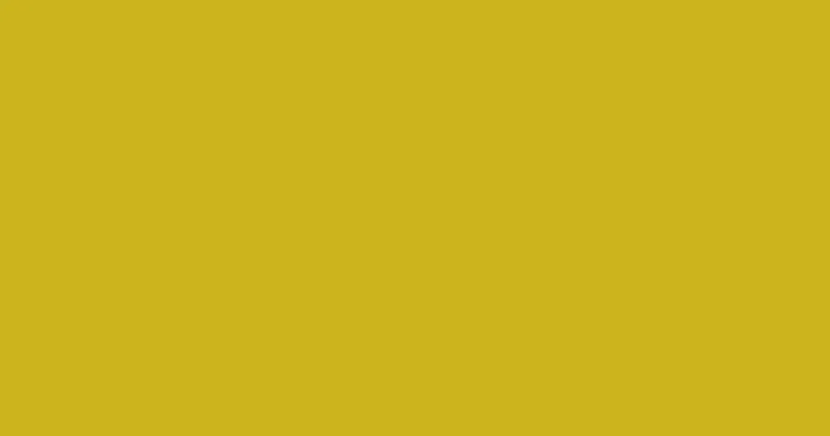 #ccb41c golden grass color image