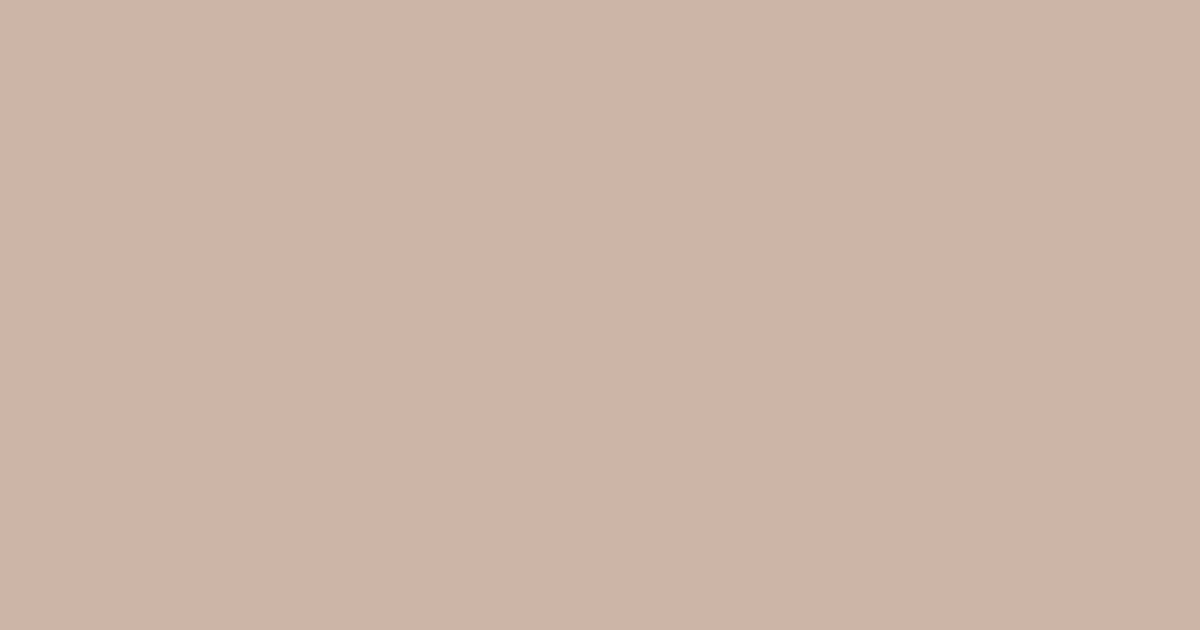 #ccb4a6 rodeo dust color image