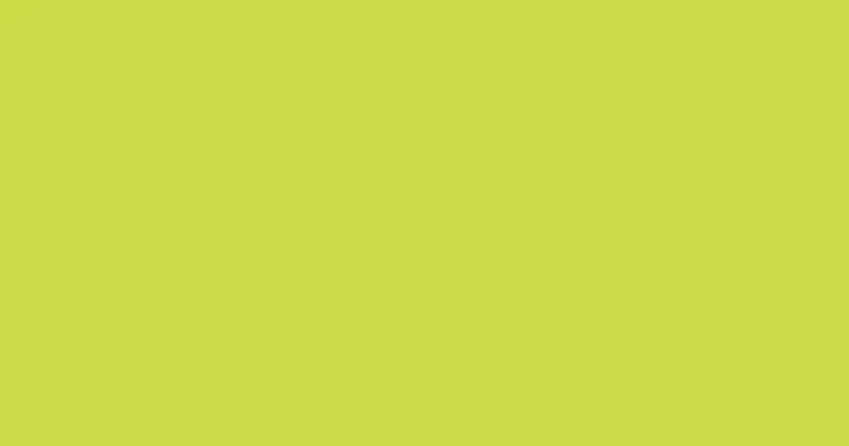 #ccdb46 wattle color image