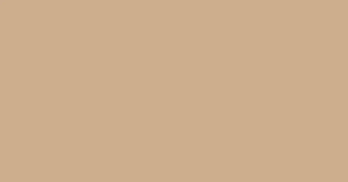 #cdad8d sorrell brown color image
