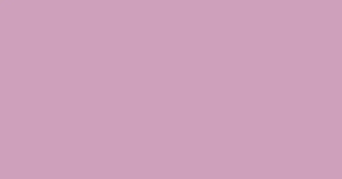 #cea0bc careys pink color image