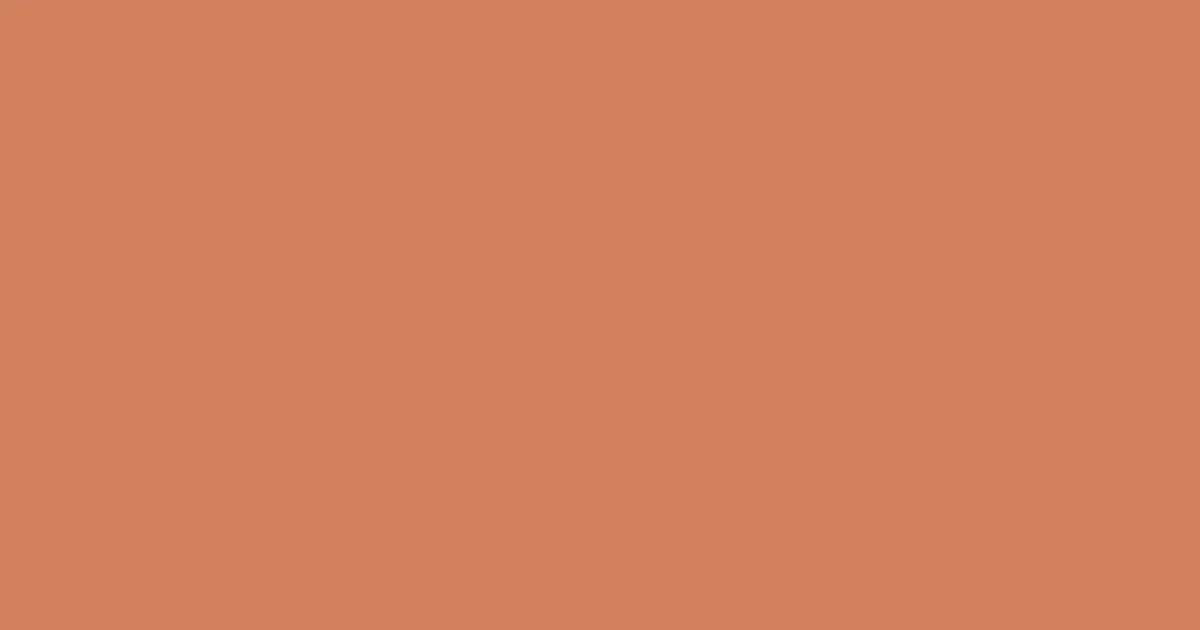 #d0805b raw sienna color image