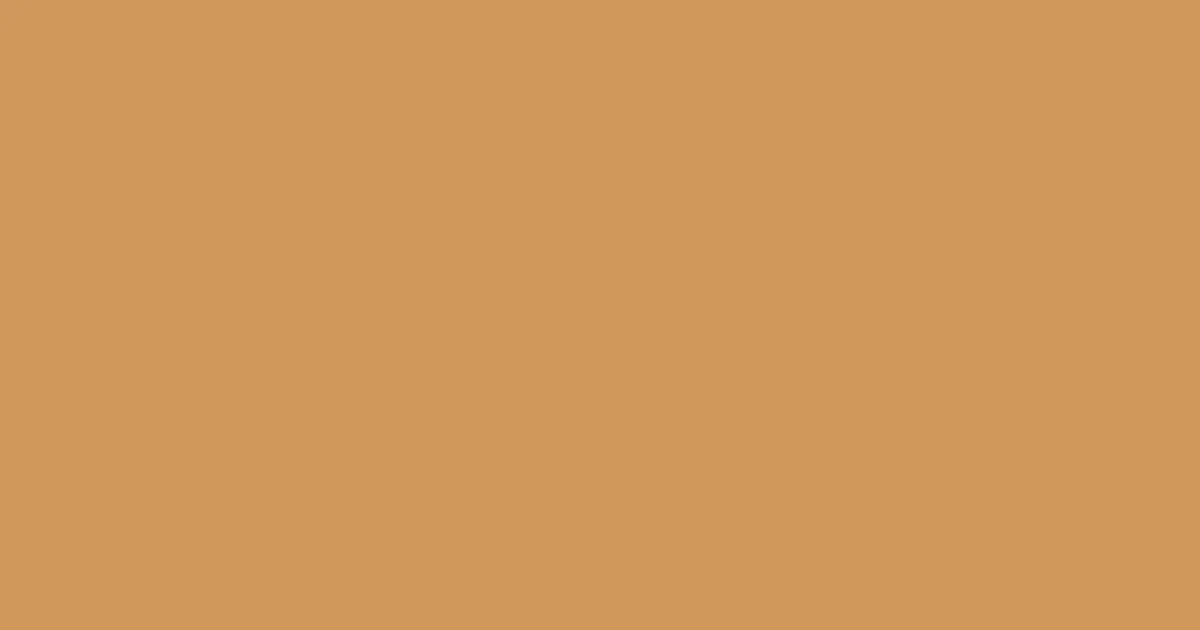 #d0985a raw sienna color image