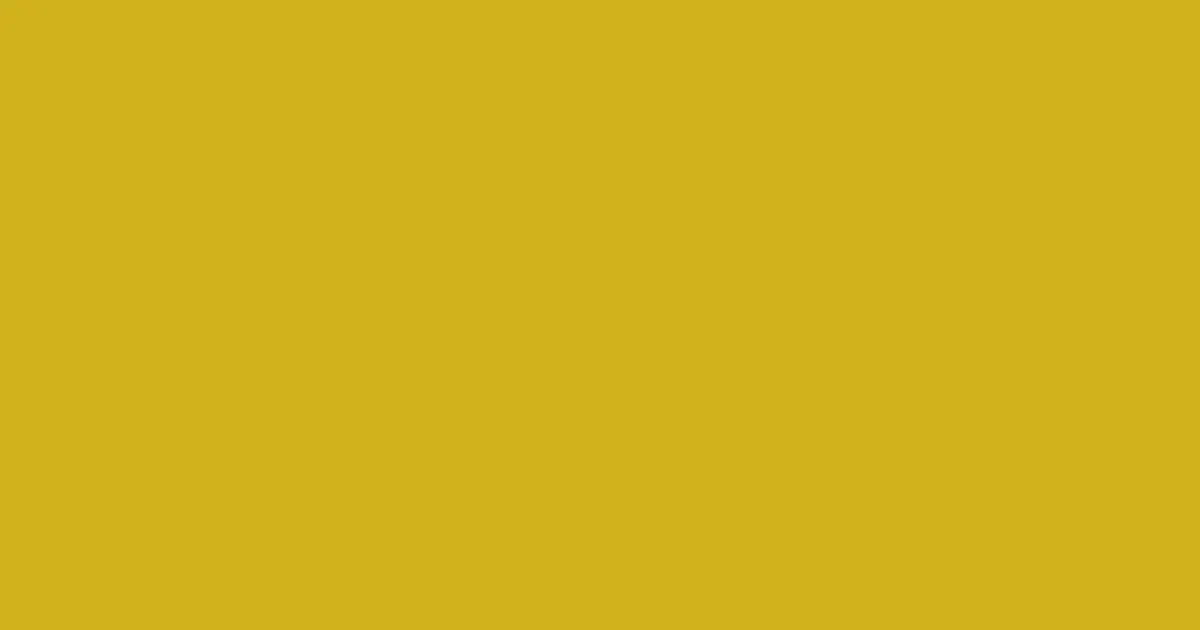 #d0b21c golden grass color image