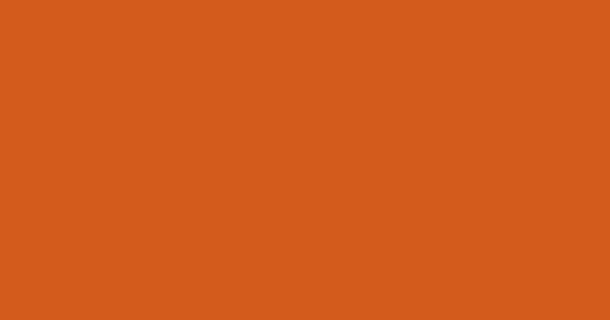 #d25b1c hot cinnamon color image