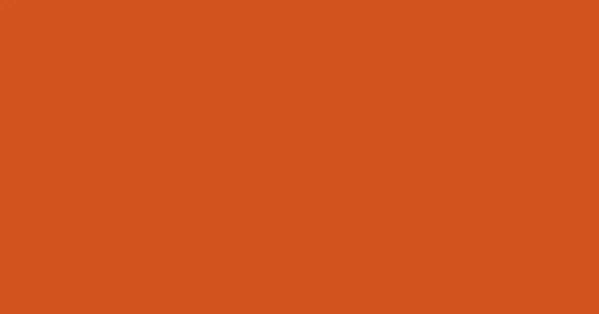 #d3521f hot cinnamon color image