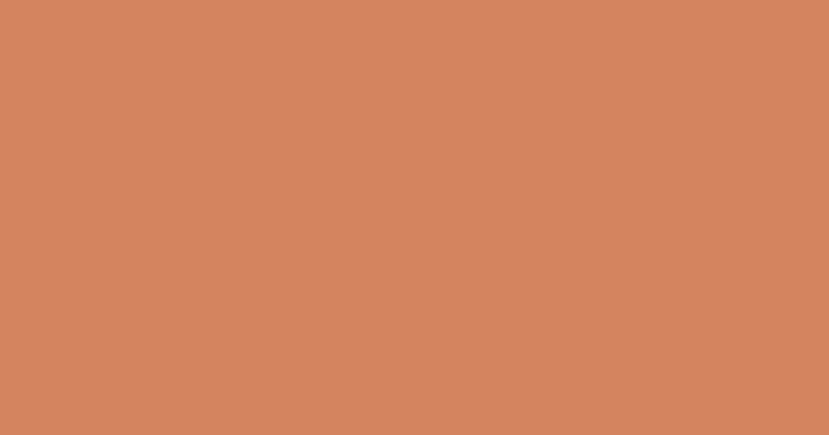 #d3865f raw sienna color image