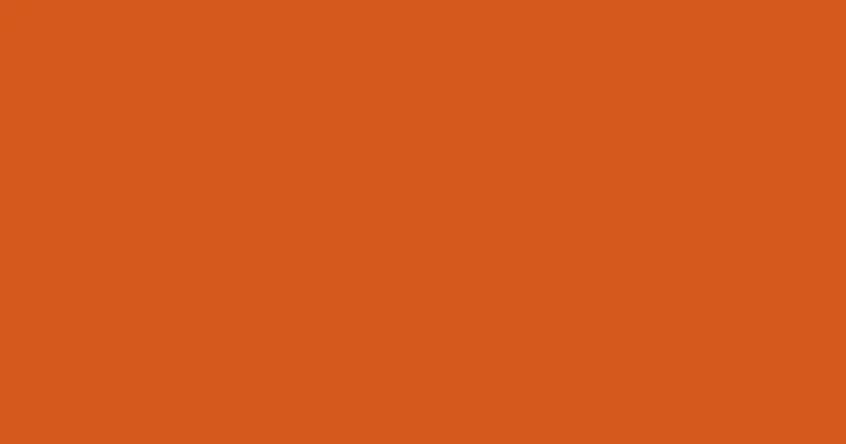#d6571c hot cinnamon color image