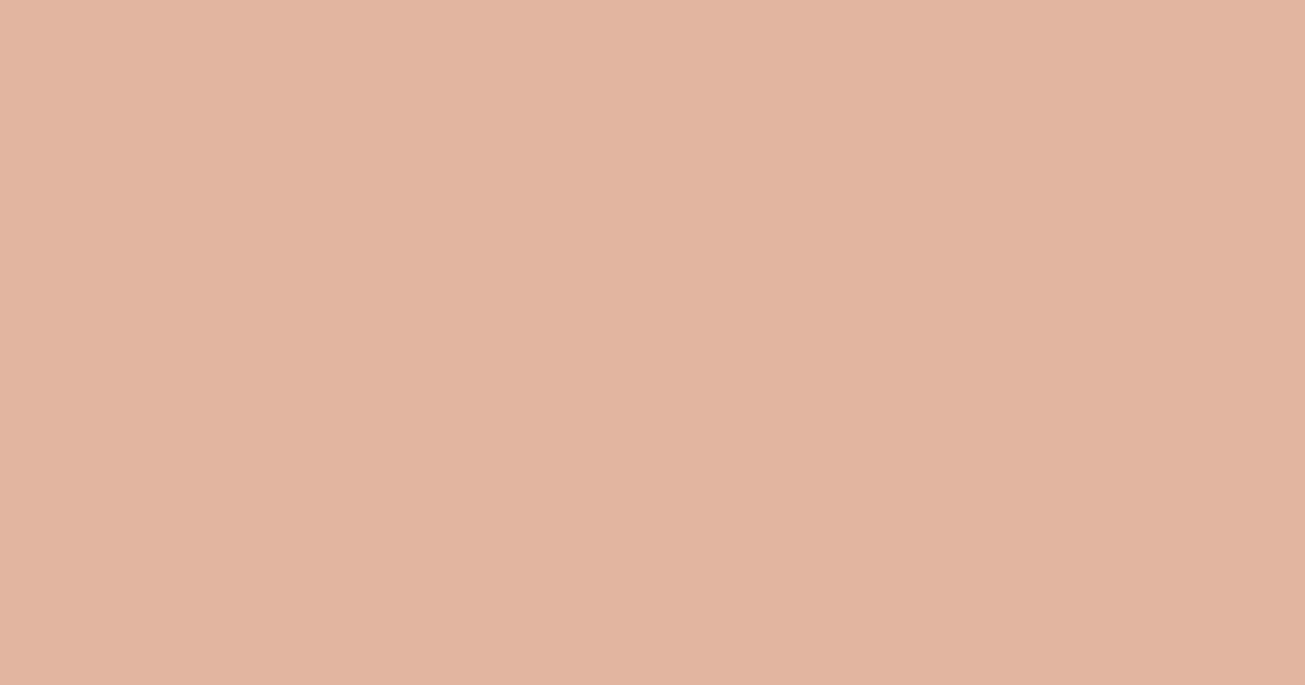 #e1b5a0 cashmere color image