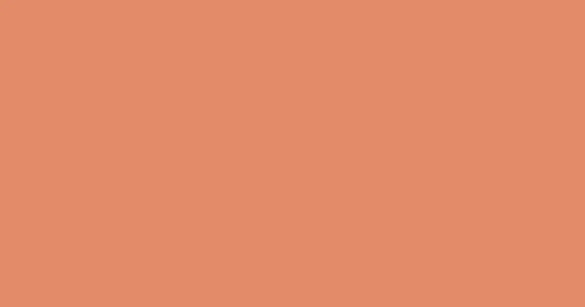 #e38c6a copperfield color image