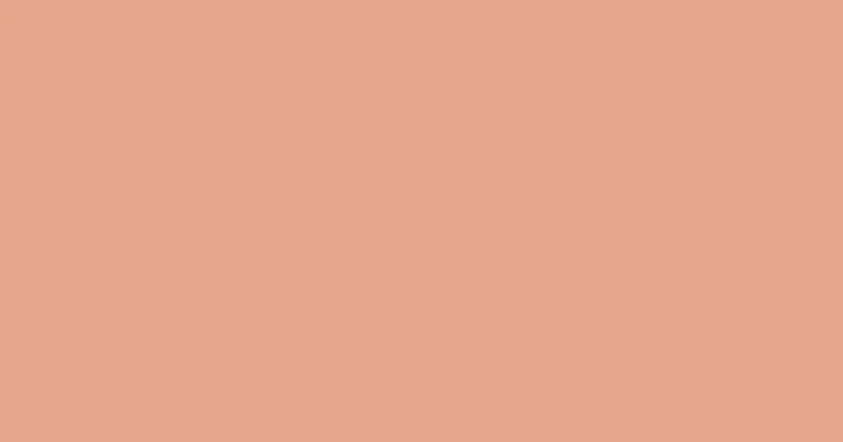 #e5a58b tonys pink color image