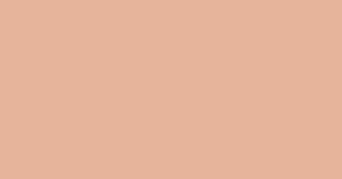 #e6b49a cashmere color image