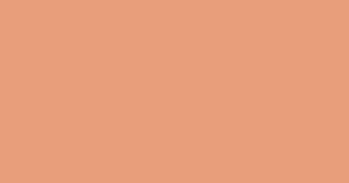 #e79d7b apricot color image