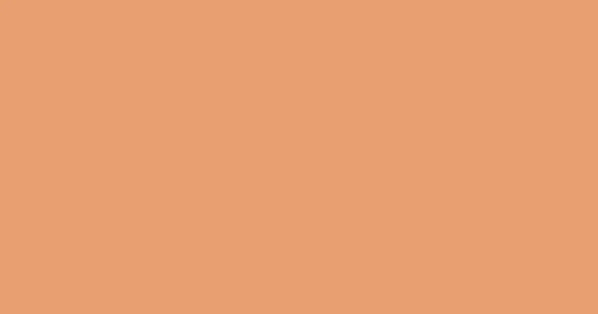 #e79f70 apricot color image