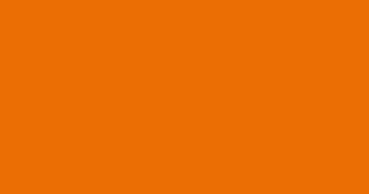 #e86d02 clementine color image