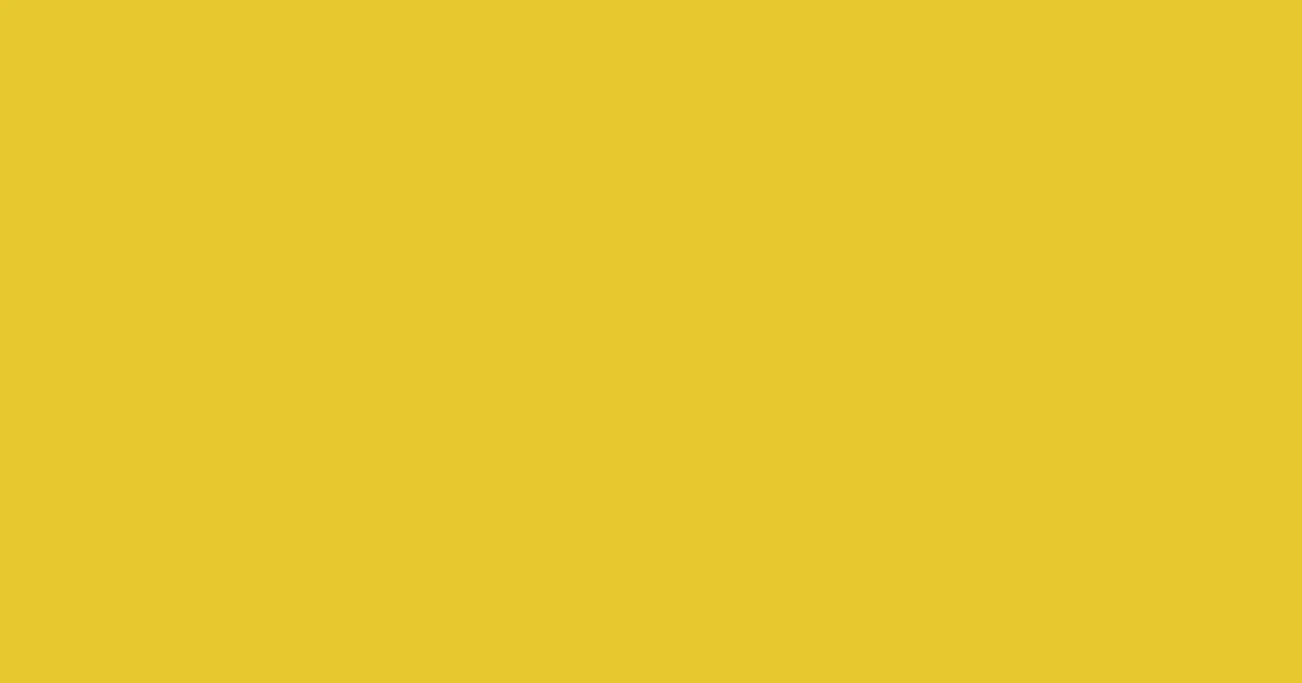 #e8c72e sunflower color image