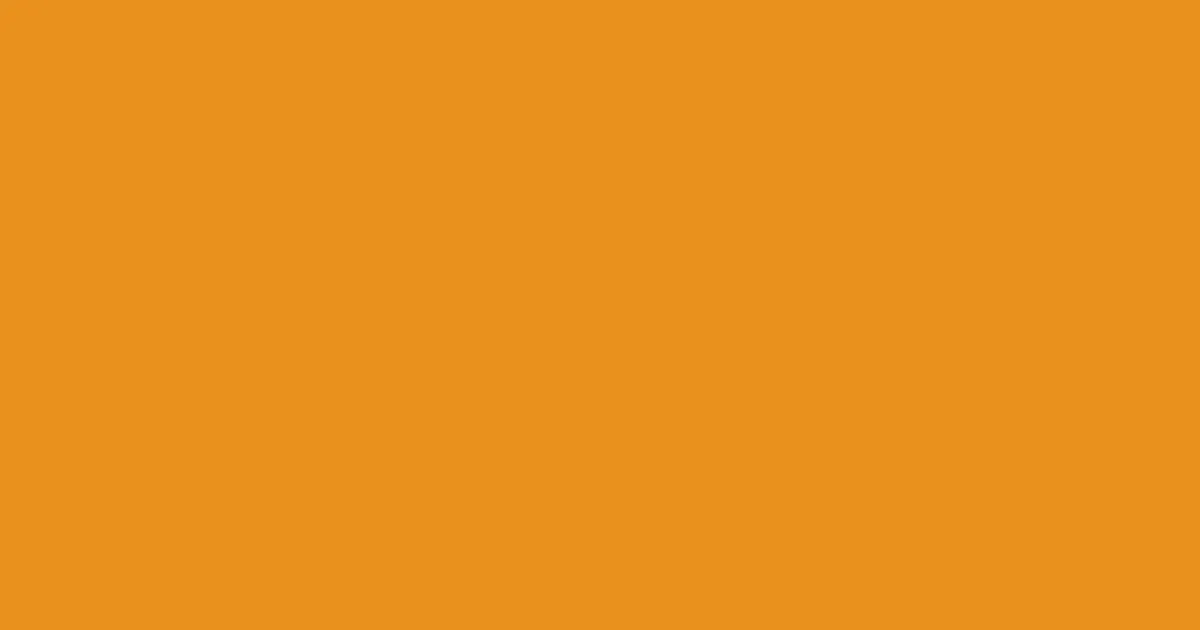 #e9911d carrot orange color image