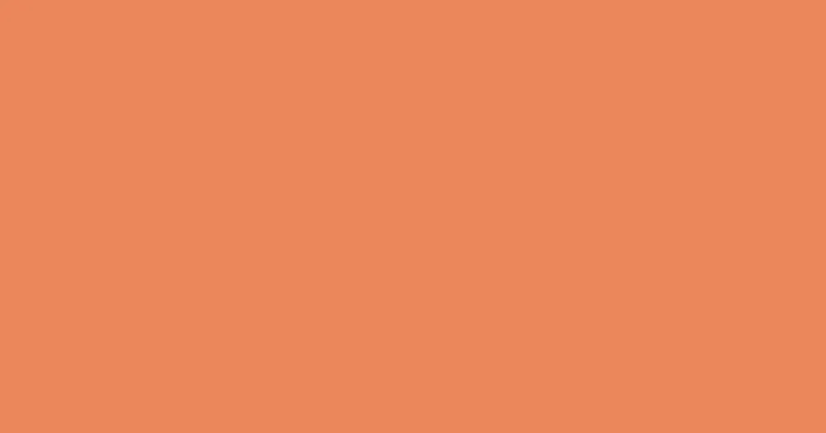 #eb865a burnt sienna color image