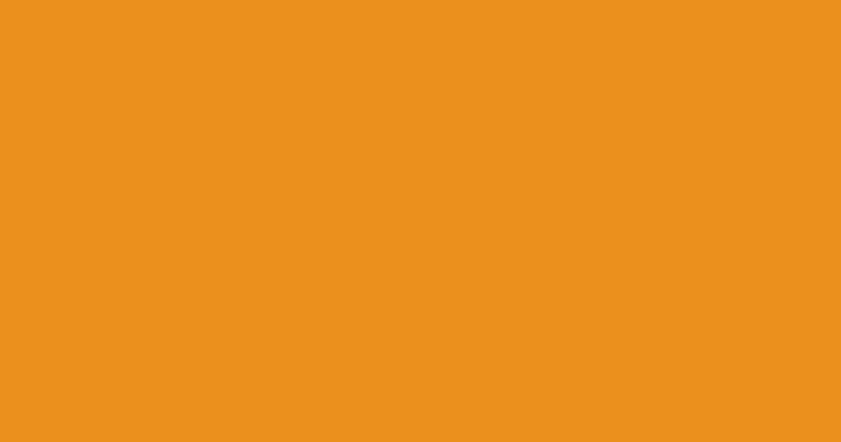 #eb901d carrot orange color image