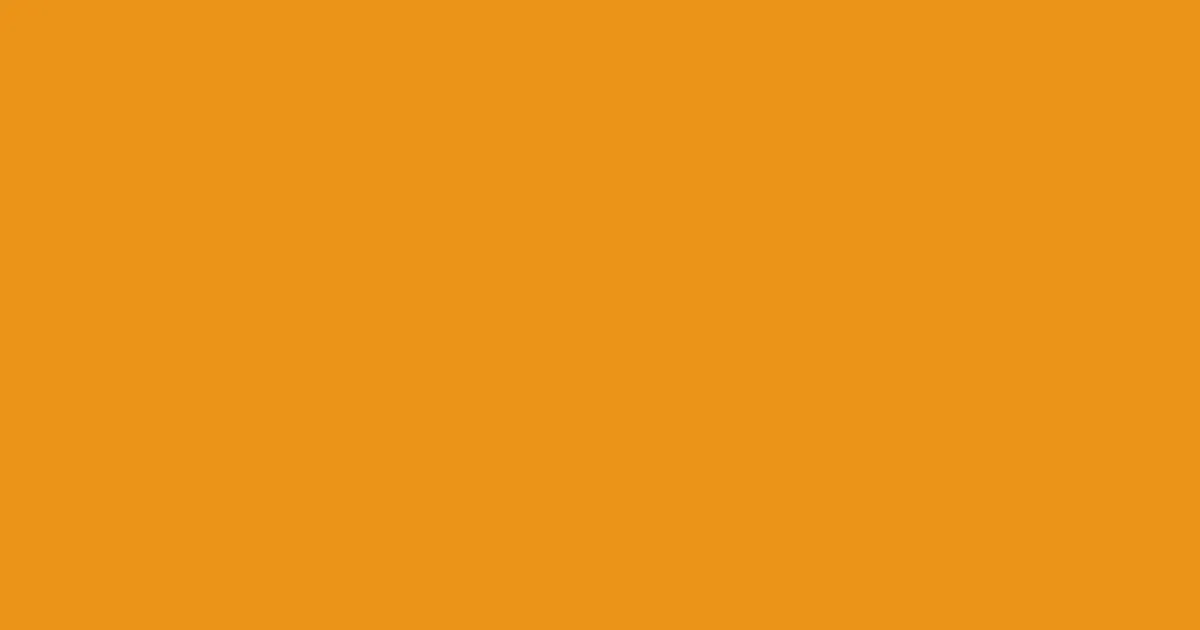 #eb9318 carrot orange color image