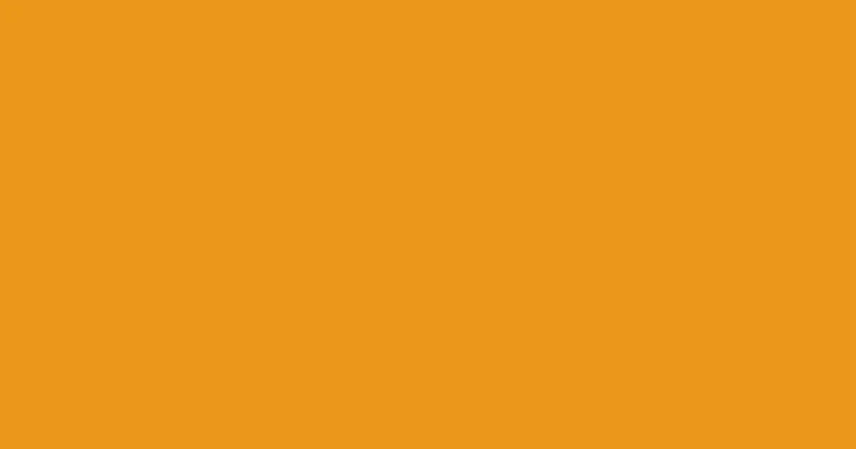 #eb9718 carrot orange color image
