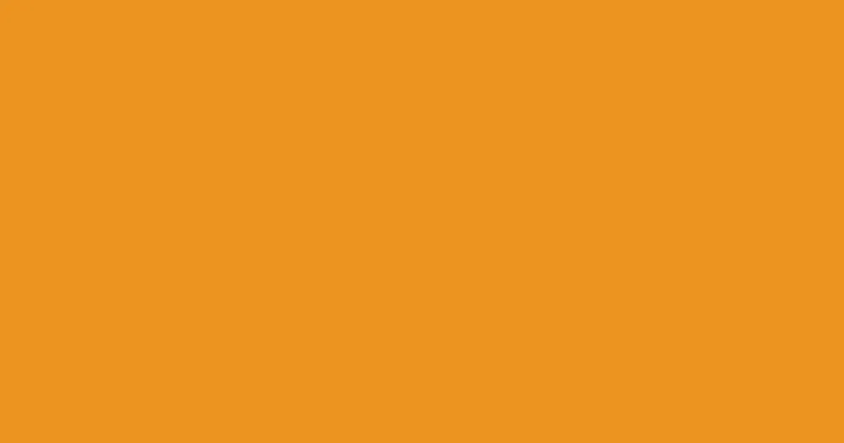 #ec931f carrot orange color image