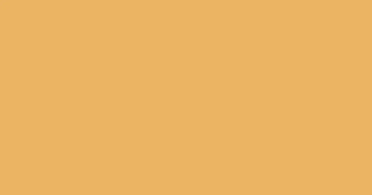 #ecb462 porsche color image