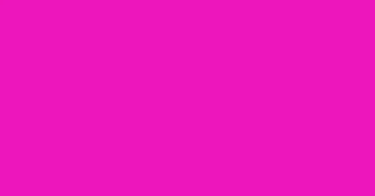 #ed15bb shocking pink color image