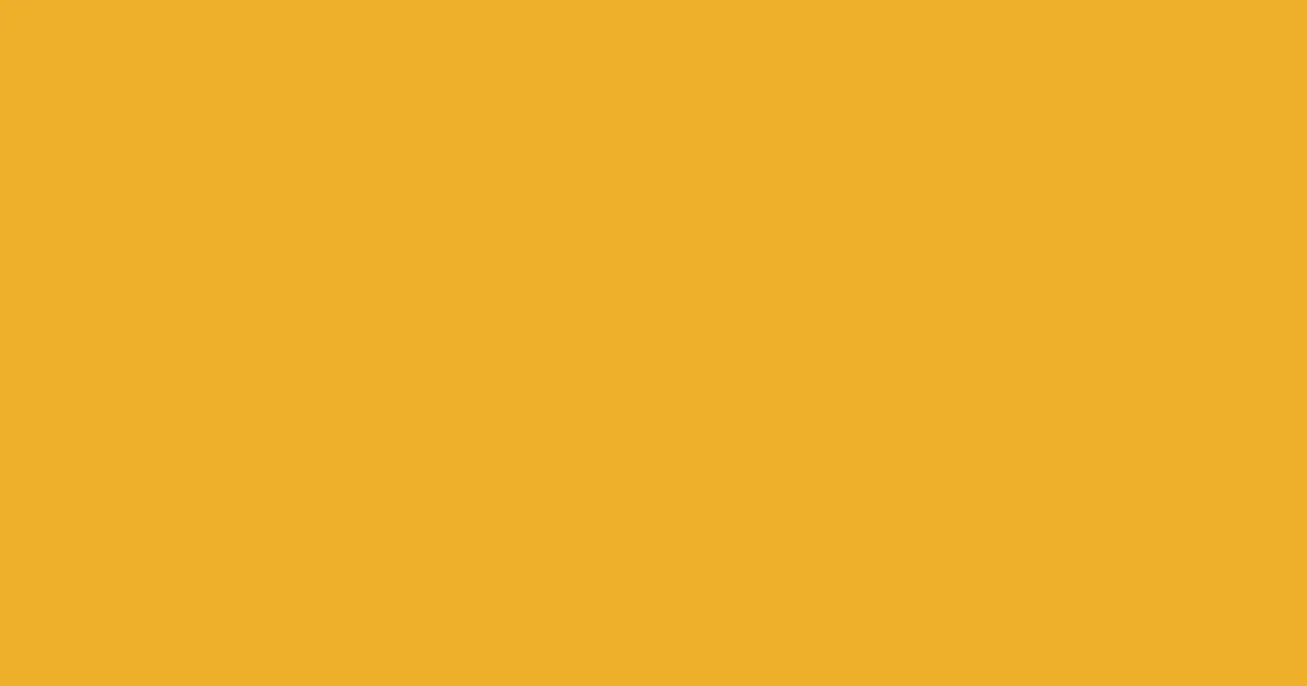 #eeaf2a fuel yellow color image