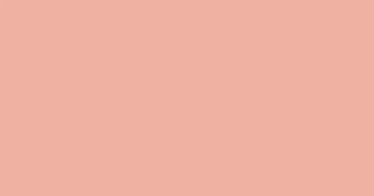 #efb2a2 mandys pink color image