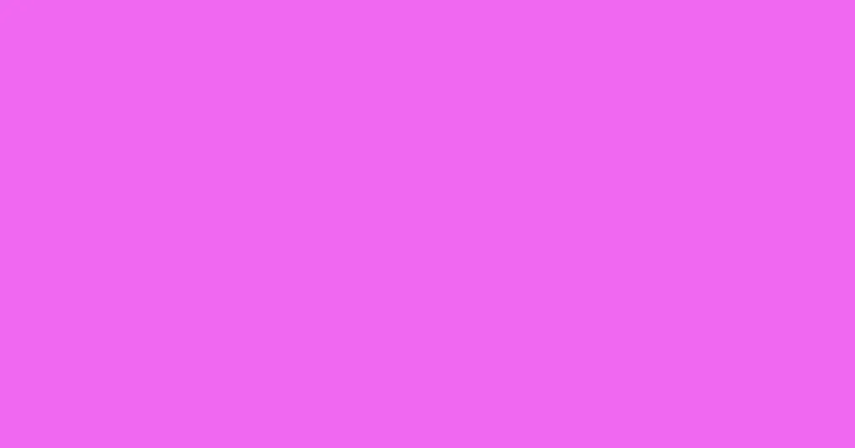 #f068f0 lavender magenta color image