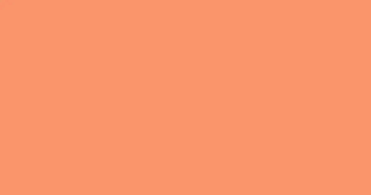 #f8946c tan color image