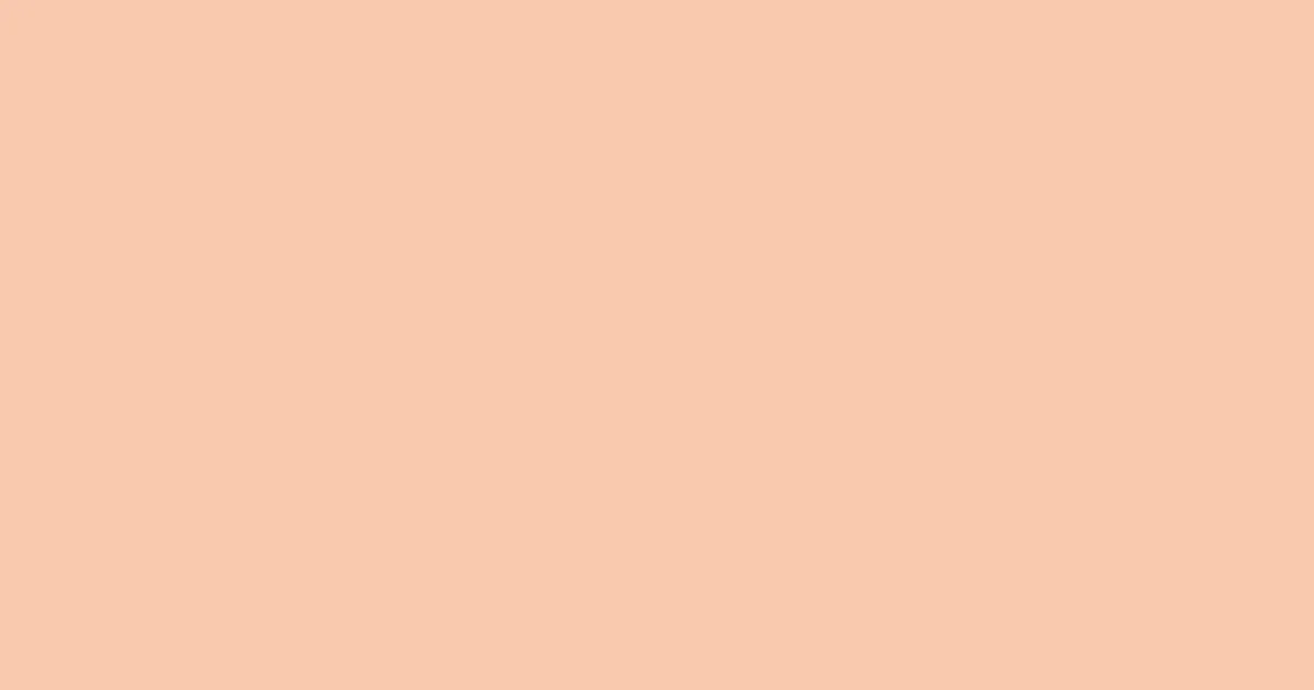 #f8c8ae apricot peach color image