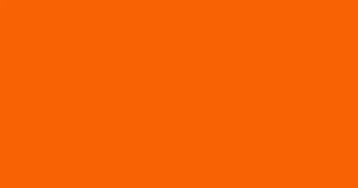 #f96204 blaze orange color image