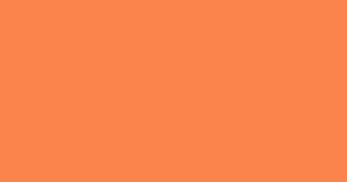 #f9834c burnt orange color image