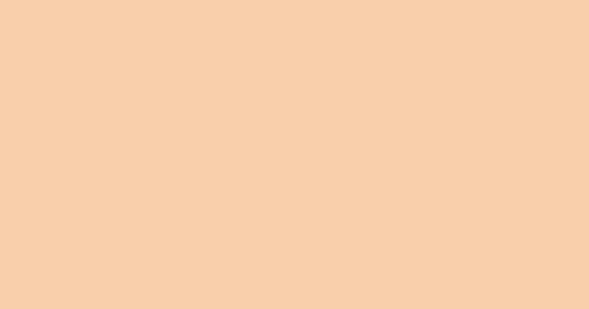 #f9cfac apricot peach color image