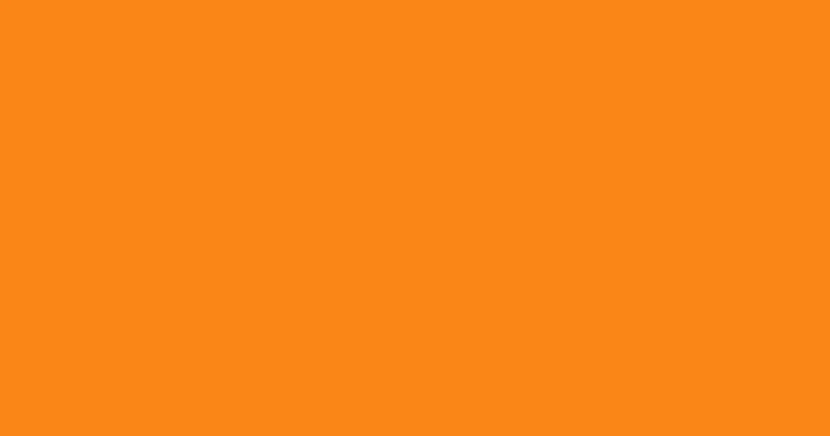 #fa8517 ecstasy color image