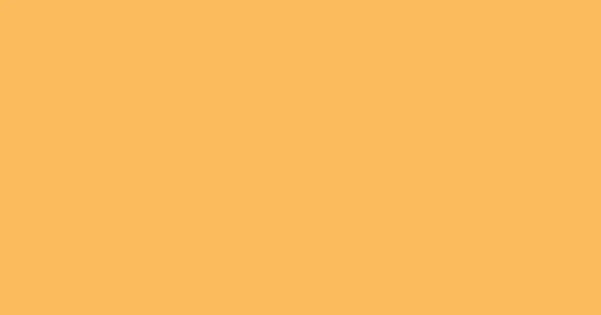 #fbbb5b saffron mango color image