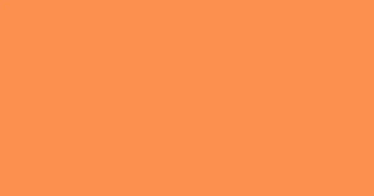#fc904d burnt orange color image