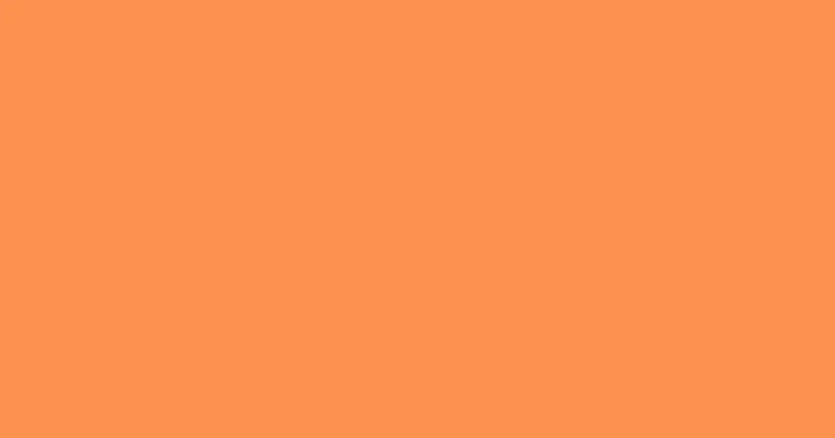 #fd914e burnt orange color image
