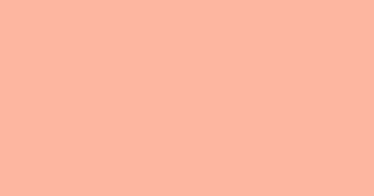 #fdb7a1 melon color image